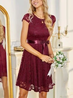 Women‘s Christmas Party Dress Lace Dress Cocktail Dress Midi Dress Pink Wine Navy Blue Short Sleeve Pure Color Lace Spring Fall Winter V Neck Fashion Winter Dress Wedding Guest Vacation 2023 15 Women‘s Christmas Party Dress Lace Dress Cocktail Dress Midi Dress Pink Wine Navy Blue Short Sleeve Pure Color Lace Spring Fall Winter V Neck Fashion Winter Dress Wedding Guest Vacation 2023 -Tesla Style araece1692179189637