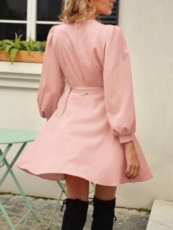 Women's Work Dress Sheath Dress Black Dress Fashion Mini Dress Lace Up V Neck Long Sleeve Plain Regular Fit Black Pink Rose Red Fall S M L XL XXL -Tesla Style bjjyfk1693300585909