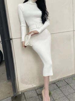 Women's Sweater Dress Jumper Dress Casual Dress Midi Dress Fashion Plain Outdoor Daily Going Out Turtleneck Long Sleeve 2023 Regular Fit Black White One Size -Tesla Style crnnon1696434524756