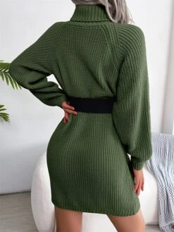 Women's Sweater Dress Winter Dress Jumper Dress Mini Dress Button Outdoor Street Daily Fashion Streetwear Turtleneck Long Sleeve 2023 Loose Fit White Pink Army Green Color S M L Size -Tesla Style cypvia1694154100849