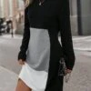 Women's Sweatshirt Dress Casual Dress Mini Dress Active Fashion Outdoor Holiday Vacation Crew Neck Print Geometric Loose Fit Black S M L XL XXL -Tesla Style dbrxip1697542448021