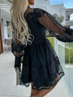 Women's Party Dress Lace Dress Homecoming Dress Mini Dress Black White Long Sleeve Pure Color Lace Summer Spring Fall Stand Collar Fashion Wedding Guest Birthday Vacation Slim 2023 S M L XL 30 Women's Party Dress Lace Dress Homecoming Dress Mini Dress Black White Long Sleeve Pure Color Lace Summer Spring Fall Stand Collar Fashion Wedding Guest Birthday Vacation Slim 2023 S M L XL -Tesla Style dlsmdj1681263748318