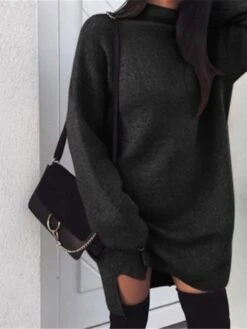 Women‘s Sweater Dress Winter Dress Shift Dress Brown Gray Black Long Sleeve Pure Color Split Winter Fall Turtleneck Basic Casual Fit S M L XL -Tesla Style emppyg1610700747282