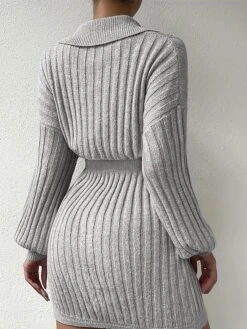 Women's Sweater Dress Jumper Dress Casual Dress Mini Dress Warm Pure Color Outdoor Casual Daily Going Out Lapel Long Sleeve 2023 Loose Fit Gray S M L -Tesla Style epwucr1695643826860