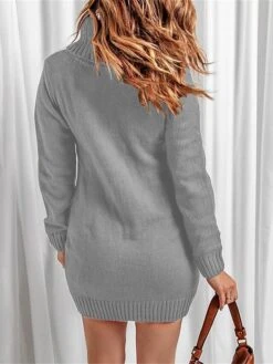 Women‘s Sweater Dress Winter Dress Jumper Dress Mini Dress Pocket Outdoor Street Daily Fashion Streetwear Turtleneck Long Sleeve 2023 Loose Fit Black Red Khaki Color S M L XL XXL Size -Tesla Style eqbxyh1694056904779