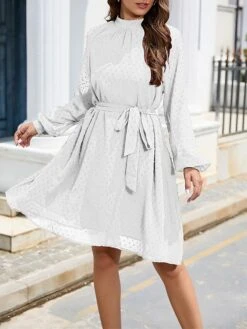 Women's Work Dress Chiffon Dress Black Dress Fashion Mini Dress Lace Up Ruched Crew Neck Long Sleeve Plain Loose Fit Black White Wine Fall Winter S M L XL XXL -Tesla Style fscctk1693373936304