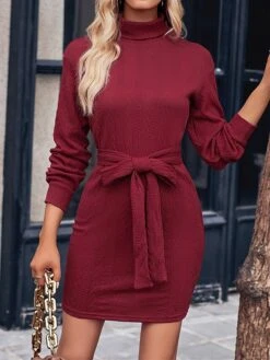 Women‘s Christmas Sweater Dress Jumper Dress Winter Dress Fashion Outdoor Christmas Street Daily Turtleneck Long Sleeve Lace Up 2023 Regular Fit Black Wine Brown S M L XL -Tesla Style hahssm1693539390578