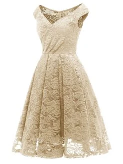 Women‘s Semi Formal Party Dress Homecoming Dress Lace Dress A Line Dress Knee Length Dress Pink Wine Khaki Sleeveless Pure Color Lace Winter Fall Off Shoulder Wedding Guest 2023 S M L XL XXL -Tesla Style hvciqe1660213497832