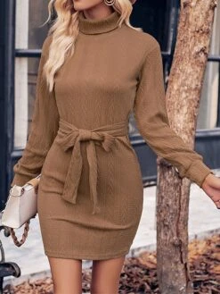 Women‘s Christmas Sweater Dress Jumper Dress Winter Dress Fashion Outdoor Christmas Street Daily Turtleneck Long Sleeve Lace Up 2023 Regular Fit Black Wine Brown S M L XL -Tesla Style hyjcsr1693539397556