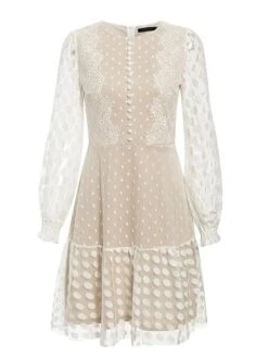 Women's Party Dress Lace Dress Wedding Guest Dress Mini Dress White Long Sleeve Polka Dot Lace Spring Fall Winter Crew Neck Fashion Birthday Wedding Guest Vacation 2023 S M L XL XXL -Tesla Style iddtmq1691746157184