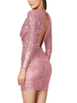 Women‘s Party Dress Sequin Dress Homecoming Dress Black Dress Mini Dress White Champagne Long Sleeve Pure Color Sparkly Glitter Sequins Fall Autumn V Neck Fashion Wedding Guest Vacation -Tesla Style iwqqvy1693297185085