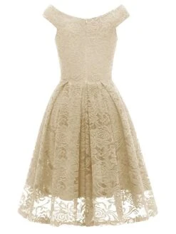 Women‘s Semi Formal Party Dress Homecoming Dress Lace Dress A Line Dress Knee Length Dress Pink Wine Khaki Sleeveless Pure Color Lace Winter Fall Off Shoulder Wedding Guest 2023 S M L XL XXL -Tesla Style jmbwtu1660213498246