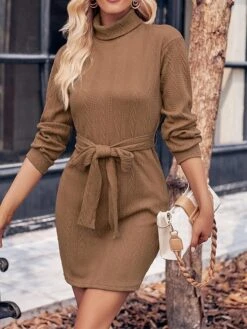 Women‘s Christmas Sweater Dress Jumper Dress Winter Dress Fashion Outdoor Christmas Street Daily Turtleneck Long Sleeve Lace Up 2023 Regular Fit Black Wine Brown S M L XL -Tesla Style kaqgeo1693539400231