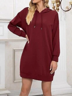 Women's Casual Dress Hoodie Dress Shift Dress Mini Dress Pocket Outdoor Street Daily Active Fashion Hooded Long Sleeve 2023 Loose Fit Black Wine Army Green Color S M L XL XXL Size -Tesla Style kkeczv1693558123362