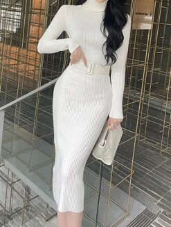 Women's Sweater Dress Jumper Dress Casual Dress Midi Dress Fashion Plain Outdoor Daily Going Out Turtleneck Long Sleeve 2023 Regular Fit Black White One Size -Tesla Style kvjkey1696434523797