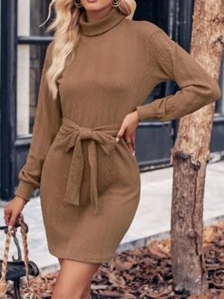 Women‘s Christmas Sweater Dress Jumper Dress Winter Dress Fashion Outdoor Christmas Street Daily Turtleneck Long Sleeve Lace Up 2023 Regular Fit Black Wine Brown S M L XL -Tesla Style lmgdxy1693539401587