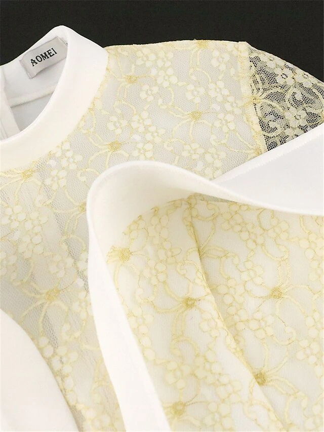 Women's Prom Dress Party Dress Wedding Guest Dress Long Dress Maxi Dress White Long Sleeve Pure Color Mesh Spring Fall Winter Stand Collar Fashion Winter Dress Evening Party Wedding Guest 2023 S M L 12 Women's Prom Dress Party Dress Wedding Guest Dress Long Dress Maxi Dress White Long Sleeve Pure Color Mesh Spring Fall Winter Stand Collar Fashion Winter Dress Evening Party Wedding Guest 2023 S M L - Image 10