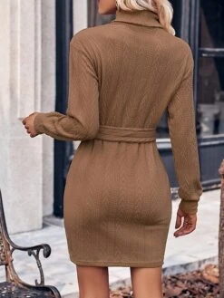 Women‘s Christmas Sweater Dress Jumper Dress Winter Dress Fashion Outdoor Christmas Street Daily Turtleneck Long Sleeve Lace Up 2023 Regular Fit Black Wine Brown S M L XL -Tesla Style lrbodg1693539402786