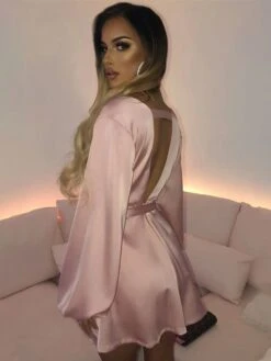 Women's Party Dress Satin Dress Sexy Dress Mini Dress Black Pink Long Sleeve Pure Color Backless Spring Fall Winter V Neck Fashion Winter Dress Fall Dress Slim 2022 S M L XL -Tesla Style mgtdqc1599119148083