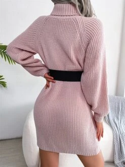 Women's Sweater Dress Winter Dress Jumper Dress Mini Dress Button Outdoor Street Daily Fashion Streetwear Turtleneck Long Sleeve 2023 Loose Fit White Pink Army Green Color S M L Size -Tesla Style msgzsq1694154094806