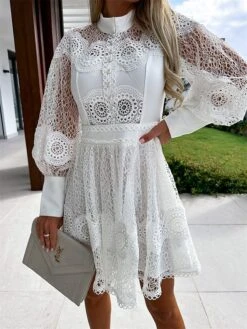 Women's Party Dress Lace Dress Homecoming Dress Mini Dress Black White Long Sleeve Pure Color Lace Summer Spring Fall Stand Collar Fashion Wedding Guest Birthday Vacation Slim 2023 S M L XL 26 Women's Party Dress Lace Dress Homecoming Dress Mini Dress Black White Long Sleeve Pure Color Lace Summer Spring Fall Stand Collar Fashion Wedding Guest Birthday Vacation Slim 2023 S M L XL -Tesla Style ppdpbl1681263746369
