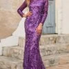 Women's Prom Dress Party Dress Sequin Dress Long Dress Maxi Dress Purple Gold Long Sleeve Solid Color Sequins Spring Fall Winter Crew Neck Fashion Party Winter Dress Wedding Guest 2022 S M L XL XXL -Tesla Style pqjmid1663663290164
