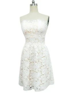 Women‘s Semi Formal Party Dress Homecoming Dress A Line Dress Mini Dress White Sleeveless Pure Color Lace Spring Summer Strapless Wedding Wedding Guest Slim 2023 S M L XL 12 Women‘s Semi Formal Party Dress Homecoming Dress A Line Dress Mini Dress White Sleeveless Pure Color Lace Spring Summer Strapless Wedding Wedding Guest Slim 2023 S M L XL -Tesla Style qkwliv1675676910149