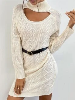 Women's Sweater Dress Winter Dress Jumper Dress Mini Dress Cut Out Outdoor Street Daily Fashion Streetwear Stand Collar Long Sleeve 2023 Loose Fit Apricot Color S M L Size -Tesla Style suboih1695036513810