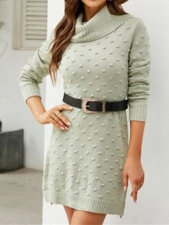 Women's Sweater Dress Winter Dress Jumper Dress Mini Dress Split Outdoor Street Daily Fashion Streetwear Turtleneck Long Sleeve 2023 Regular Fit White Green Color S M L XL Size -Tesla Style syvhrg1692081711093