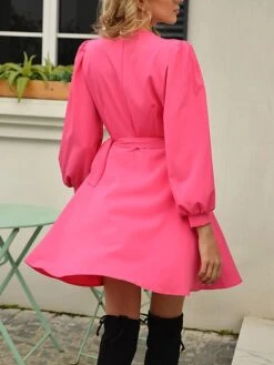 Women's Work Dress Sheath Dress Black Dress Fashion Mini Dress Lace Up V Neck Long Sleeve Plain Regular Fit Black Pink Rose Red Fall S M L XL XXL -Tesla Style tmlkqv1693300571656