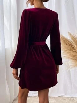 Women's Party Dress Velvet Dress Homecoming Dress Mini Dress Wine Long Sleeve Pure Color Ruched Spring Fall Winter V Neck Fashion Winter Dress Wedding Guest Evening Party Loose Fit 2023 S M L XL -Tesla Style umsjtc1692601279605