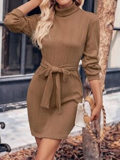 Women‘s Christmas Sweater Dress Jumper Dress Winter Dress Fashion Outdoor Christmas Street Daily Turtleneck Long Sleeve Lace Up 2023 Regular Fit Black Wine Brown S M L XL -Tesla Style vasawe1693539398831