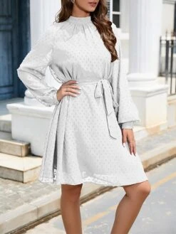 Women's Work Dress Chiffon Dress Black Dress Fashion Mini Dress Lace Up Ruched Crew Neck Long Sleeve Plain Loose Fit Black White Wine Fall Winter S M L XL XXL -Tesla Style wjwjyb1693373936953