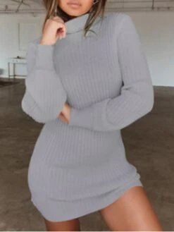 Women's Sweater Dress Winter Dress Jumper Dress Mini Dress Ribbed Outdoor Street Daily Fashion Streetwear Turtleneck Long Sleeve 2023 Regular Fit Dark Blue Apricot Gray Color S M L XL XXL Size -Tesla Style wrtxzd1694591826462
