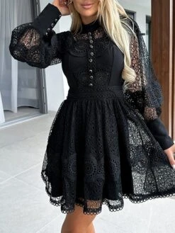 Women's Party Dress Lace Dress Homecoming Dress Mini Dress Black White Long Sleeve Pure Color Lace Summer Spring Fall Stand Collar Fashion Wedding Guest Birthday Vacation Slim 2023 S M L XL 29 Women's Party Dress Lace Dress Homecoming Dress Mini Dress Black White Long Sleeve Pure Color Lace Summer Spring Fall Stand Collar Fashion Wedding Guest Birthday Vacation Slim 2023 S M L XL -Tesla Style xmprnd1681263747842