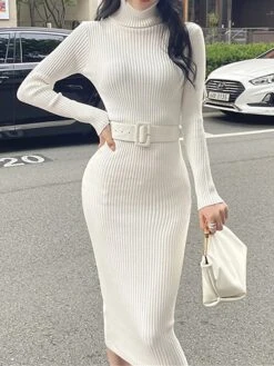 Women's Sweater Dress Jumper Dress Casual Dress Midi Dress Fashion Plain Outdoor Daily Going Out Turtleneck Long Sleeve 2023 Regular Fit Black White One Size -Tesla Style xoeexo1696434522730
