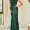 Women's Bodycon Sheath Dress Maxi Long Dress Green Sleeveless Pure Color Sequins Spring Summer V Neck Stylish Hot Sexy Party 2022 XS S M L XL XXL / Party Dress / Sequin Dress -Tesla Style xtsjqk1656583540468