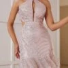 Women‘s Party Dress Sequin Dress Homecoming Dress Mini Dress Pink Sleeveless Pure Color Sparkly Glitter Sequins Spring Fall Winter Halter Neck Fashion Wedding Guest Birthday Vacation Slim 2023 -Tesla Style ytrgng1692675486660