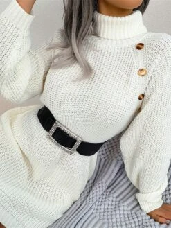 Women's Sweater Dress Winter Dress Jumper Dress Mini Dress Button Outdoor Street Daily Fashion Streetwear Turtleneck Long Sleeve 2023 Loose Fit White Pink Army Green Color S M L Size -Tesla Style yymfou1694154088086