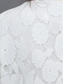 Women's Work Dress Lace Dress Black Dress Fashion Midi Dress Lace Pocket Crew Neck Long Sleeve Plain Loose Fit Black White Pink Fall M L XL XXL 3XL -Tesla Style yzvbyu1693281266761