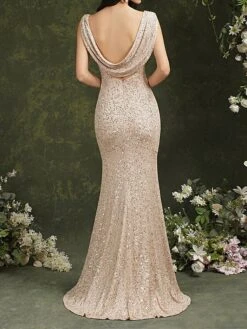 Women's Prom Dress Party Dress Sequin Dress Long Dress Maxi Dress Champagne Sleeveless Pure Color Sequins Spring Fall Winter Spaghetti Strap Fashion Wedding Guest Birthday Evening Party 2023 S M L XL -Tesla Style zxxoet1696076699181